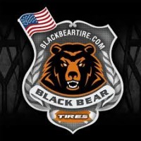 Black Bear