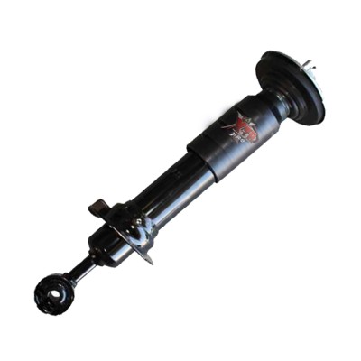 EFS Suspension Struts